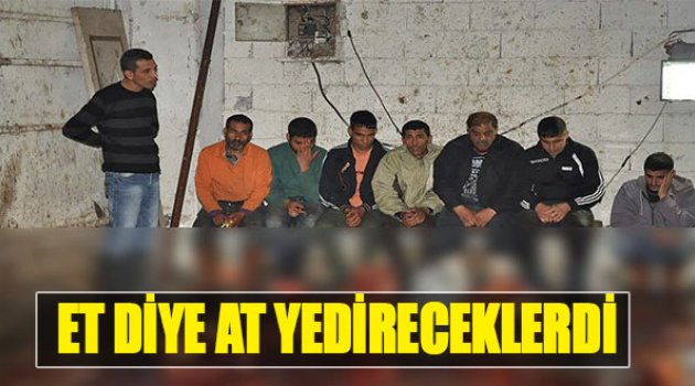 Et Diye At Yedireceklerdi