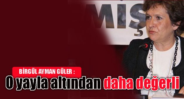 Güler : O yayla altından daha değerli