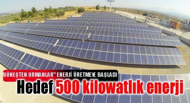 Güneş Ormanları enerji üretimine başladı