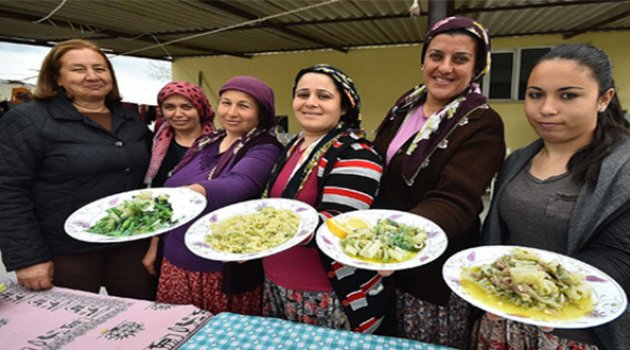 Haydi Şeveti Bostan Şenliğine