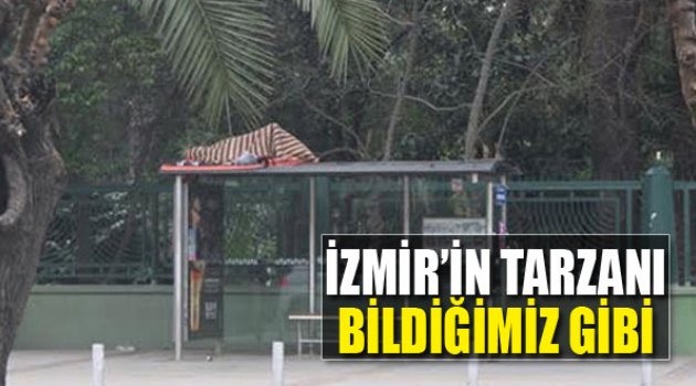 İzmir'in Tarzanı Hala Durak Üstünde Yaşıyor...