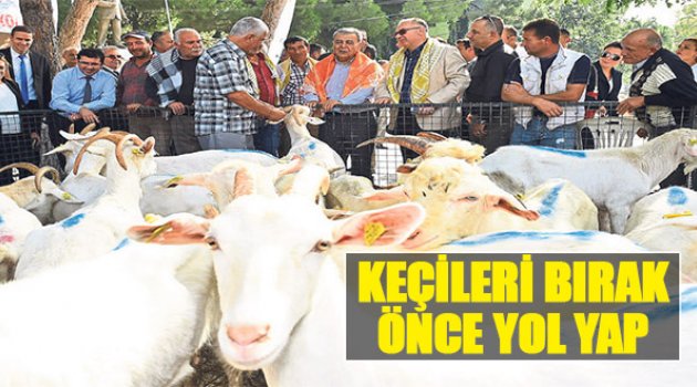 Keçileri Bırak Önce Yol Yap