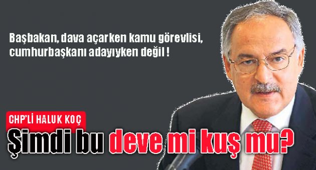 Koç: Şimdi bu deve mi kuş mu?