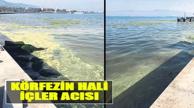 Körfezin Hali İçler Acısı