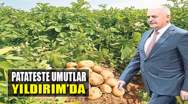 Patateste Umutlar Yıldırım’da