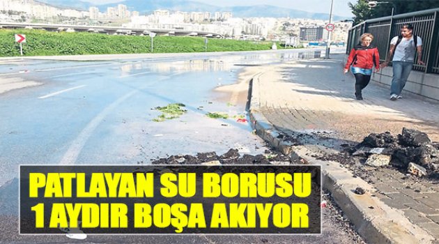 Patlayan Su Borusu 1 Aydır Boşa Akıyor