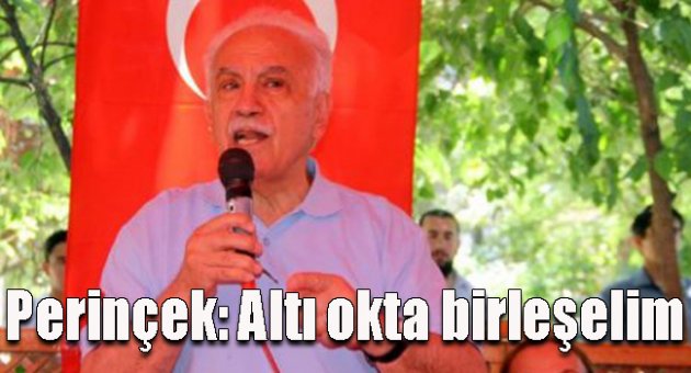 Perinçek: Altı okta birleşelim