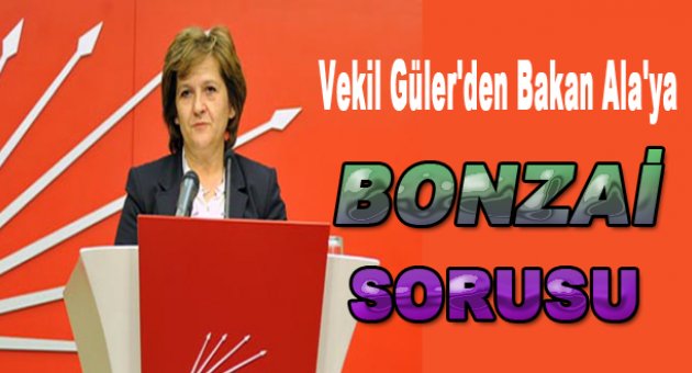 CHP Milletvekilinden Bonzai sorusu