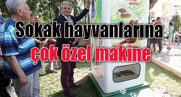 Sokak hayvanlarına çok özel makine