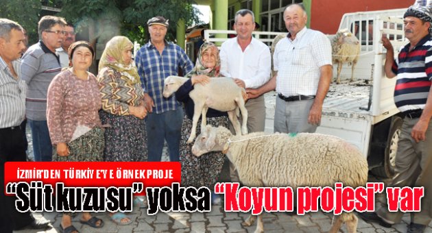 "SÜT KUZUSU" YOKSA, "KOYUN PROJESİ" VAR