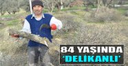 84 Yaşında Delikanlı