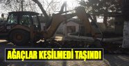 Ağaçlar Kesilmedi Taşındı!