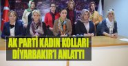 AK Parti Kadın Kolları Diyarbakır’ı Anlattı