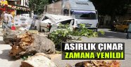 Asırlık Çınar Zamana Yenildi