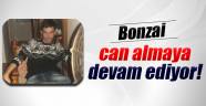 Bonzai can almaya devam ediyor