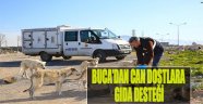 Buca’dan Can Dostlara Gıda Desteği