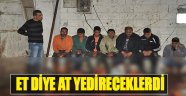 Et Diye At Yedireceklerdi