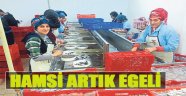 Hamsi Artık Egeli