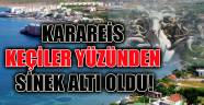 KARAREİS KEÇİLER YÜZÜNDEN SİNEK ALTI OLDU!