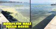 Körfezin Hali İçler Acısı