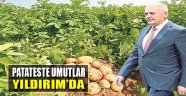 Patateste Umutlar Yıldırım’da