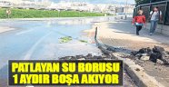 Patlayan Su Borusu 1 Aydır Boşa Akıyor