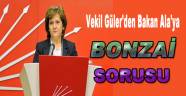 CHP Milletvekilinden Bonzai sorusu