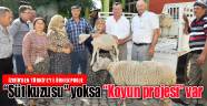 "SÜT KUZUSU" YOKSA, "KOYUN PROJESİ" VAR