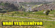 Vadi Yeşilleniyor