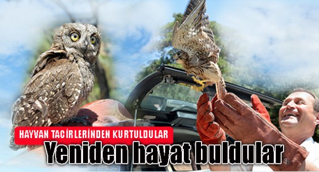 Yeniden doğdular